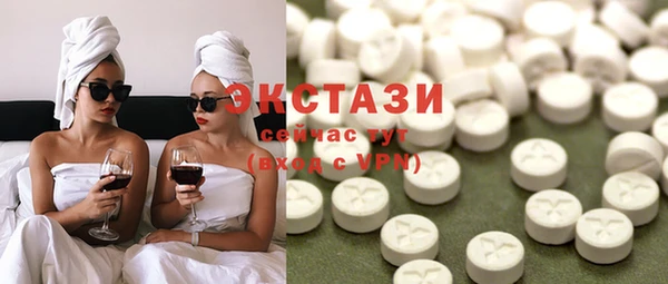 ECSTASY Богданович