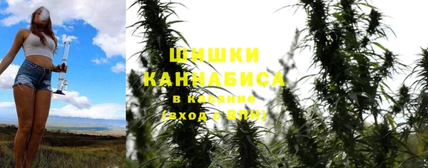 молекула духа Ветлуга