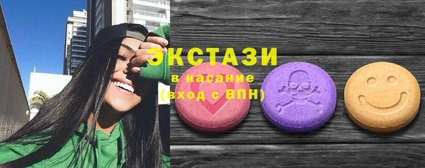 ECSTASY Богданович